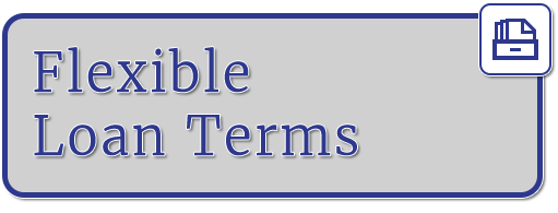 P1 Flexible Loan Terms